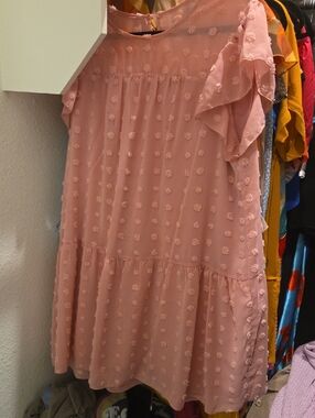 Blush Pink Ruffle Sleeve Swiss Dot Dress
